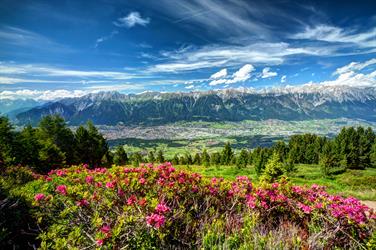 Image for: ZIRBENWEG